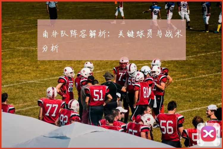 南非队阵容解析：关键球员与战术分析