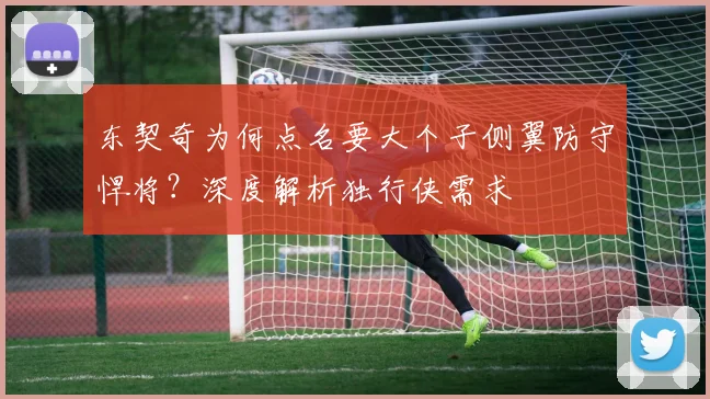 东契奇为何点名要大个子侧翼防守悍将？深度解析独行侠需求